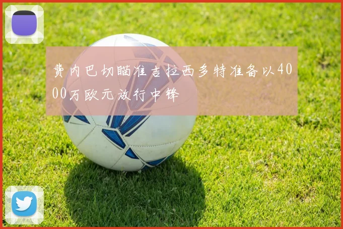 费内巴切瞄准吉拉西多特准备以4000万欧元放行中锋